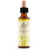 BACH Clematis Bach Orig 20ml
