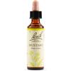 BACH Mustard Bach Orig 20ml