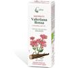 Valeriana Rossa Macerato Caira