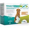 Youact Entero Sos 14bust