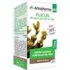 ARKOFARM Arkocps Fucus Bio 45cps