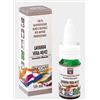 Zuccari oe Lavanda 10ml