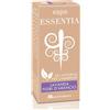 Vapo Essentia Lavanda Ara oe
