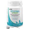 Petmod Intestinal Sprint 100g