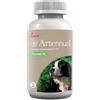 Artennua xl 30 Compresse