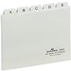 Durable 366002 - Divisore alfabetico per schedario, f.to A6, con etichette prestampate (A-Z), bianco, confezione da 25 pezzi