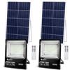 Aigostar-Faro led esterno con pannello solare,300W,6500K.Faretti led solari con telecomando.Grado di Protezione IP66,Super luminosa faretto led con pannello solar,Lunghezza del cavo 2M,2 Pezzi