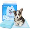 Nobleza 30 pz Tappetini igienici per cani, misure 40*60cm, Tappetini assorbenti per animali domestici