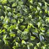 TENAX Divy Panel Photos 100x100 cm Verde, Pannello Modulare con Foglie Artificiali 3D Tipo Pothos per Pareti, Giardini Verticali e Decorazioni Indoor/Outdoor