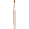Asukohu Viaggio retrattile Lip Brush Applicatori Piatto Per Rossetto Creme Lucido Portatile Con Cappuccio Professionale Pennello Trucco Pennello Rossetto Pennello Applicatore Bacchette Con Cappuccio
