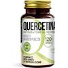 Noebis Pharma Quercetina 200 mg - 120 Capsule Vegetali - 1 al Giorno 1