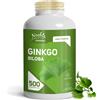 Noebis Pharma Ginkgo Biloba - Microcircolo e Circolazione 500 Pc Compr