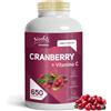 Noebis Pharma Cranberry + Vitamina C - Mirtillo Rosso 3900 Pc Compress