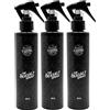 Charlemagne Spray al Sale Marino per Capelli - Leggero 600 ml Aerosol