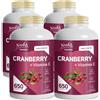 Noebis Pharma Cranberry + Vitamina C - Mirtillo Rosso 2600 Pc Compress