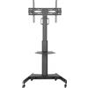 VDD Supporto TV - piedistallo TV - base TV - su ruote - regolabile in altezza fino a 160 cm