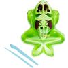 Simba Scout Dissect-It - Rana da sezionare, 16 cm, Scheletro e organi da assemblare, Set di Ricarica di Attrezzi, dai 5 Anni in su