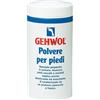 DUAL SANITALY SpA SOC.BENEFIT GEHWOL POLV PIEDI 100G