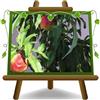 EURO PLANTS VIVAI Pesco Nano - Pianta da Frutto su Vaso ø 20 cm - Altezza 60~80 cm- Età 2 Anni