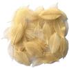 RATREE 888 200 piccole foglie di scheletro naturale da 5 a 8 cm, albero di gomma per scrapbooking, artigianato, biglietti fai da te, matrimoni, mazzi di fiori, regali stagionali