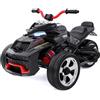 RCB 12V Moto Elettrica Bambini, 2 motori e 12 pollici di moto da cross elettrica 3/8 km/h Modalità di velocità, Multi-Music, Porta USB, Miglior Moto Ride On per 3-8 bambini