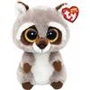 TY - Peluche - Beanie Boos - Procione - Oakie - Grigio con occhioni glitter dorati - Il morbido pupazzo con gli occhi grandi scintillanti - 15 Cm - 36375