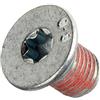 HELLA PAGID 8DZ 355 209-021 Bullone, Disco freno PAG0002 - 12.5mm - M8x1 - Torx interno