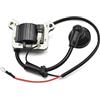 SAANICH Bobina di accensione Magneto Modulo for 43CC 52CC CG430 CG520 Trimmer Decespugliatore Motosega Tosaerba Parti Attrezzi Da Giardino Accessori