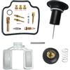 Generic FORESIGHT 250 FES250 - Kit di riparazione carburatore per moto 1997-2005 FES 250 (kit di riparazione, galleggiante, taglio aria, stantuffo)