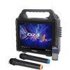 Ibiza KARAVISION Portable Karaoke Speaker with Screen & 2x VHF Mics