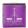 Augustine 650517 Corde per Chitarra Classica, Etichetta Regals, Set Cantini Precision-Round Extra High Tensione, Corde Basse Light Tensione, Muta Oro