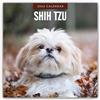 Red Robin Publishing Ltd. Shih Tzu 2026 Square Wall Calendar