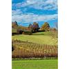 CreateSpace Independent Publishing Platf Italian Countryside of Parma Italy Journal: 150 page lined notebook/diary