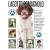 Pet Education Publishing LAGOTTO ROMAGNOLO: The Comprehensive Owners Guide
