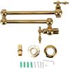 Asixxsix Rubinetto per Riempimento Pentole, Rubinetto da a Parete in Rame Rubinetto Freddo Singolo Estensibile Pieghevole con Braccio Oscillante a Doppio Snodo Rubinetto per Lavabo Estensibile(Titanio)