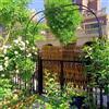 ARtsim Pergola da giardino Arco in metallo per piante rampicanti vite con basi 140 180 200 220 240 260 280 310 330 350 370cm (Color : Nero, Size : 240cm x 250cm)