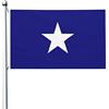 FJQWKLF Bonnie Blue Flag Flag 9,1 x 1,5 m, resistente su entrambi i lati, per esterni, festa di benvenuto, decorazione per patio