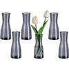 Glasseam Vasi di Vetro Piccoli per Decorazione: Vaso di Vetro Grigio Stretto 6 Pezzi Vaso Piccolo - Vaso di Fiori Minimalista Vaso Decorativo Moderno per Soggiorno Festa Matrimonio Tavolo da Pranzo