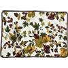 BOTTARO Tovaglietta all'americana trapuntata varie fantasie BOTTARO cm 49x34 (BELVEDERE)