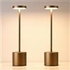 YIKUI Lampada da Tavolo Senza Fili Ricaricabile per Esterno, Interni (2 Titanium) | lampade a led da tavolo ricaricabili, 6000 mAh batteria, luce dimmerabile, 3 modalità di colore, per sala da pranzo