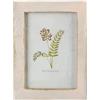 Wuuooei Cornice per Foto Vintage, Cornici Foto da Parete Legno, Portafoto in Legno da Decorare Piccole Montaggio Verticale o Orizzontale per Decorazione della Casa da Tavolo 9 x 13 cm (Beige)