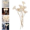 Beavorty Bastoncini Diffusore in Rattan Con Fiori Secchi Per Aromaterapia Accessori Profumazione Casa Senza Fuoco Bastoncini Profumatori Per Ambienti Eleganti 8.7 Pollici Set Da 9 Pezzi