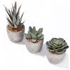JOSPL 3 Pianta Finta,Piante Artificiali Succulente,Piante Finte Grasse con Vasi,Piante Artificiali da Interno e Esterno,Succulente Artificiali Piante Decorazione da Casa Davanzale Cucina Scrivania