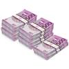Scratch Lover Scratch Cash Euro Box - 10 mazzette da 100 Banconote l'una di € 500 - Banconote Finte Euro, (500.000 Fac-Simile Euro), Dimensioni Reali