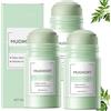 YUNFAX Mugwort Mud Mask Stick, Maschera in Stick Verde, Migliora l'acne e Riduce i Punti Neri. Maschere alla Artemisia Vulgaris Rimuovono l'acne e Puliscono in Profondità i Pori, Controllano l'olio e