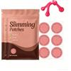 Kiuiom Slimique Cerotti Dimagranti Patch, Cerotti Slimique Dimagranti, Ingredienti Naturali, Delicato e non Irritante, per Uomini e Donne per Addome, Gambe e Braccia (3*30 Pezz)