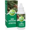 Pumilio Forte 40ml, Olio Essenziale per Diffusori, con Pino Pumilio, Menta, Mentolo, Eucalipto e Pino Silvestre, Essenze per Diffusori Naturali per Deodorare e Rinfrescare l'Ambiente