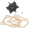 GPJTJROL for m/e/r/c/u/r/y 47-8037481 3b2-65021-1 18-8920 Kit girante Pompa Acqua con Guarnizione e Perno Chiave 8 9,8 9,9 HP Motore fuoribordo Marino