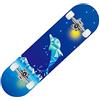 DFrywdgSEY Skateboard, Skateboard Completo 31x8 Pollici, tavola da Trick Double Kick, Skateboard for Principianti, Adulti, Bambini e Adolescenti.-40_31