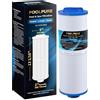 POOLPURE 4CH-949 - Filtro di Ricambio per Pleatco PWW50L, Filbur FC-0172, SD-01143, 817-4050, Rising Dragon 50, Waterway Teleweir, 1 Confezione